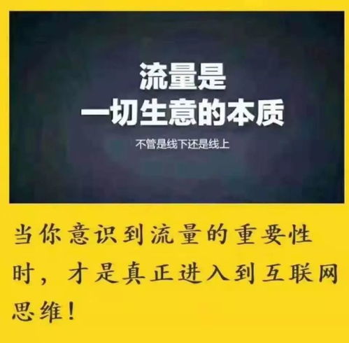 阿里张勇的经营哲学 从产品、用户到社群的战略转型